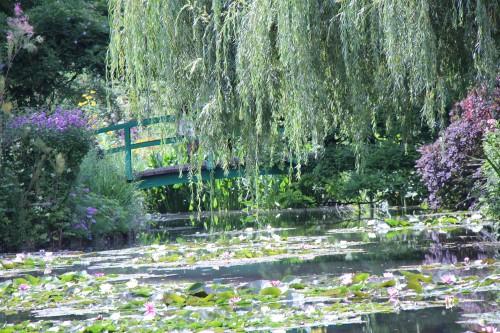 fondation claude monet, waterlilies, giverny, claude monet, jardin claude monet, france, musée des impressionnistes