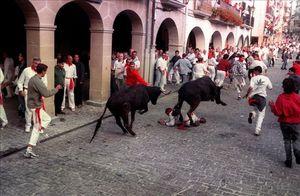 Faut pas gonfler Tortolillo... 3985532w