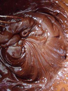 Pavé au chocolat sans cuisson SAM_2617