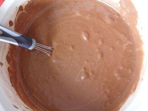 Pavé au chocolat sans cuisson SAM_2621