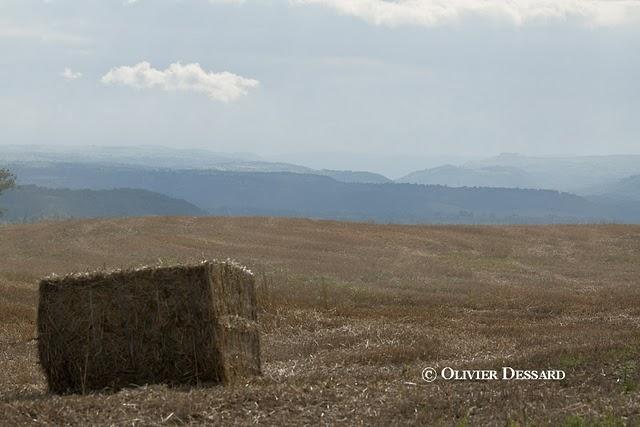 Bottes de paille rondes ou carrées Bottes de paille rondes ou carrées