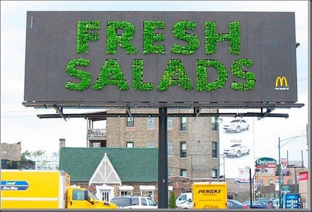 mcdonalds-salad