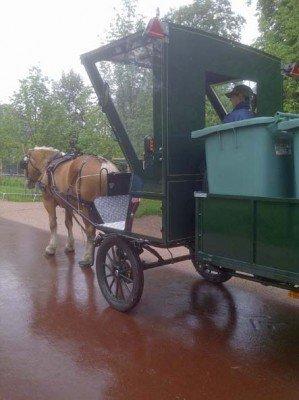 Clin d’oeil équestre en plein Nancy pepiniere