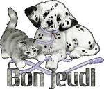 DOS DE COLIN, PETITS POIS ET CAROTTES DU JARDIN jeudi