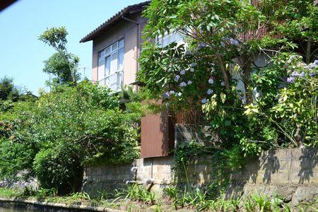 A l'Ecole Moyenne ordinaire de Matsue ... 29 juin MATSUE 255