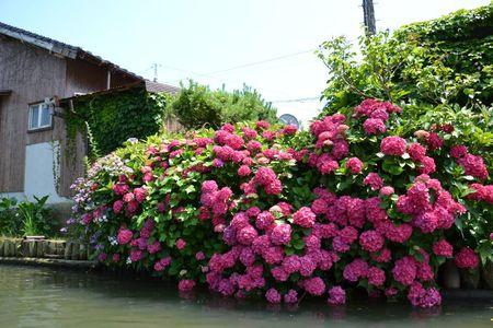 A l'Ecole Moyenne ordinaire de Matsue ... 29 juin MATSUE 241