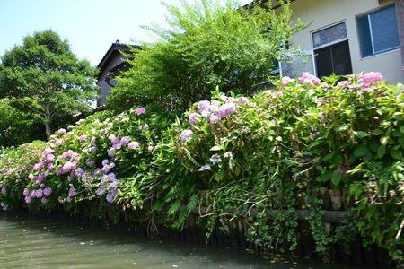 A l'Ecole Moyenne ordinaire de Matsue ... 29 juin MATSUE 243