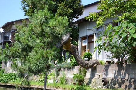A l'Ecole Moyenne ordinaire de Matsue ... 29 juin MATSUE 257