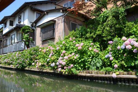 A l'Ecole Moyenne ordinaire de Matsue ... 29 juin MATSUE 252