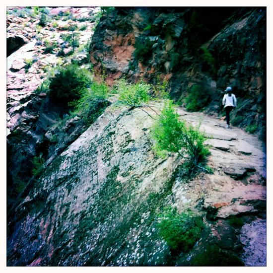 Californie, 18. Zion Park.