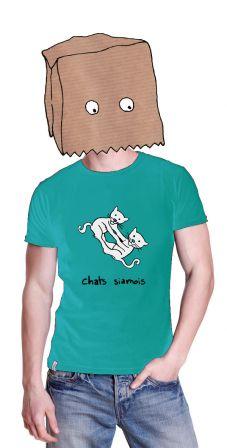 chats siamois, juin 2011 chats siamois