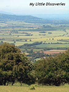 A la découverte de l'Angleterre rurale des Cotswolds P1100248___copie_copie
