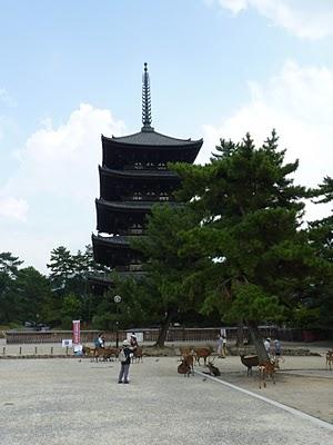 Nara, ville des daims