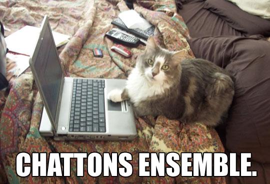 cwe-comptoir-ete1 cwe comptoir ete1 Chronique du WE : Comptoir de l’Eté, Saison 2