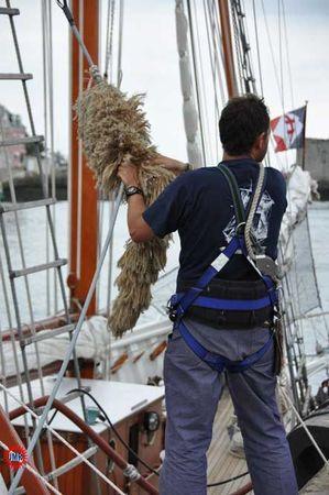 Belle Poule, coq etc La-Belle-Poule2