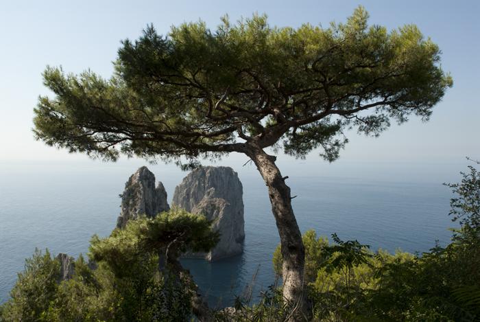 Blog de luluaccordeon : LUCIEN NOURTIER, CAPRI C'EST FINI . VARIETE.. SLOW ROCK