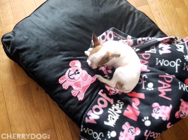 chachacouture_litwoofwoof Des nouvelles ! Des nouvelles ! Des nouvelles !