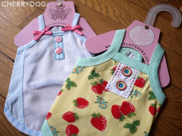 amylovespet_debardeurbleu2 Des nouvelles ! Des nouvelles ! Des nouvelles !