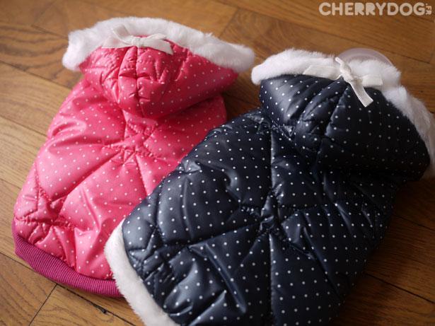 amylovespet_doudounepois Des nouvelles ! Des nouvelles ! Des nouvelles !