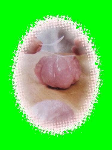 Paupiettes de veau paupiette-de-veau--2-.gif