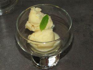 Sorbet aux 2 pêches IMG_2430