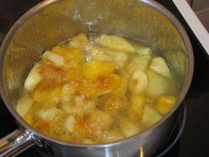 Sorbet aux 2 pêches IMG_2397