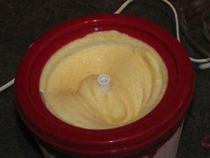 Sorbet aux 2 pêches IMG_2423