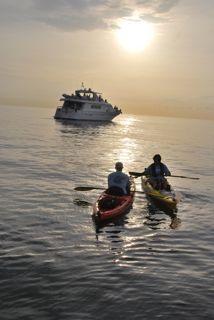 Un geste pour la Paix Un geste pour la Paix