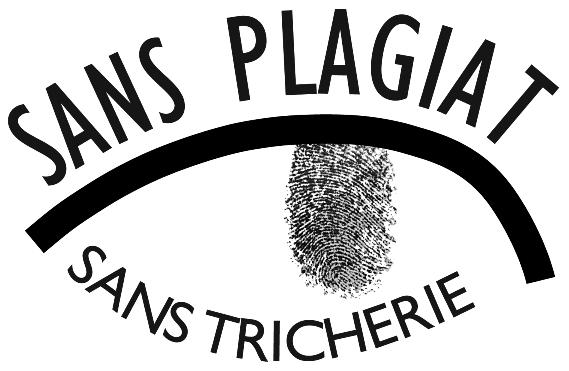 6502 Halte au Plagiat