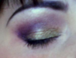 DSCN1267 Somptuous Olive et Sketch