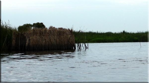 brière hutte Les multiples usages du chaland