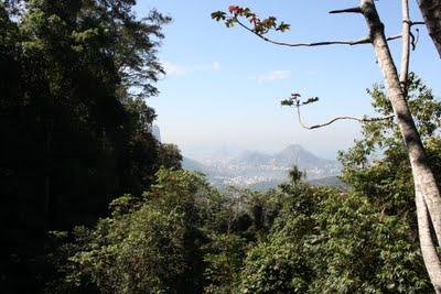 Quelques belles images de la forêt de Tijuca...et la Casa das Canoas
