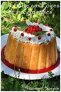 Mousse au chocolat blanc, poire à la verveine, tuile aux amandes 2011-07-03 charlotte1