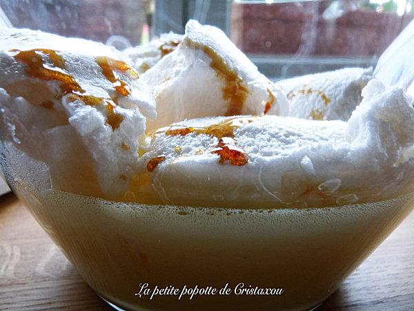 ILES FLOTTANTES ileflottante3.jpg