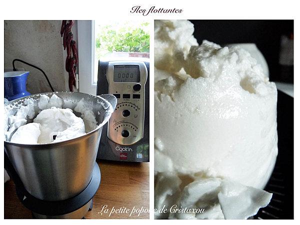 ILES FLOTTANTES Ile-flottante-1-copie-1.jpg