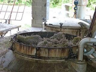 La distillation de la lavande selon la méthode traditionnelle