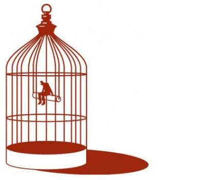 Démocratie Cage Démocratie : la « force des urnes » ?