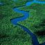 Vue aérienne du Parc National des Everglades, Etats-Unis.
