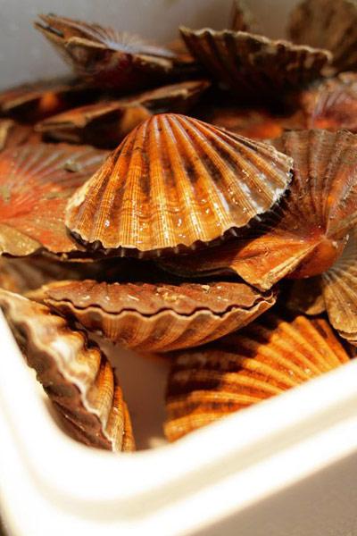fruit-de-mer-hotel-Fortdel-Ocean-france-bretagne-Hoosta-magazine fruit-de-mer-hotel-Fortdel-Ocean-france-bretagne-Hoosta-magazine