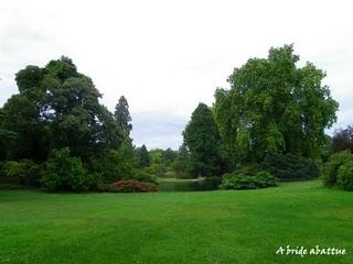 Promenade dans l'arboretum de la Vallée-aux-Loups (92)