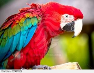 Juste pour parler….. Juste pour parler…..