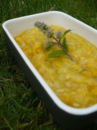 Compotée froide de courgettes P1070822