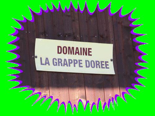 Evian .....suite la-grappe-doree.gif