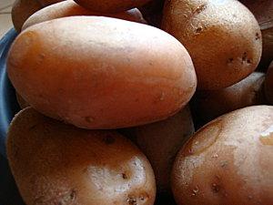 rillettes de jambon blanc a la créme cuisine 2011 048