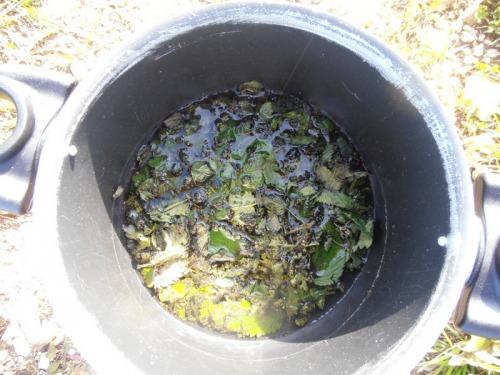 OLYMPUS DIGITAL CAMERA Soupe aux orties au barbecue solaire