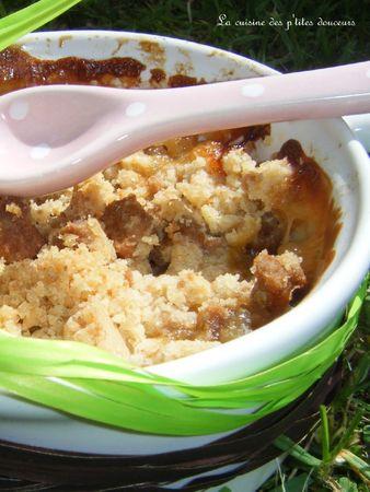 Crumble aux mirabelles et spéculoos DSCF1618