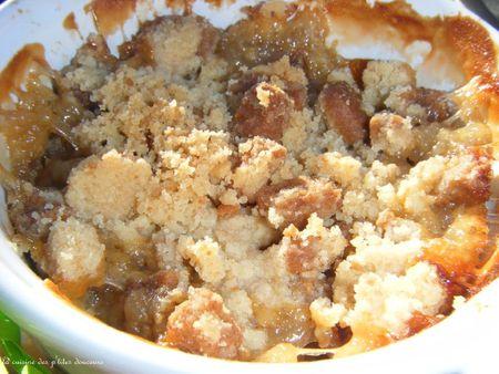 Crumble aux mirabelles et spéculoos DSCF1605