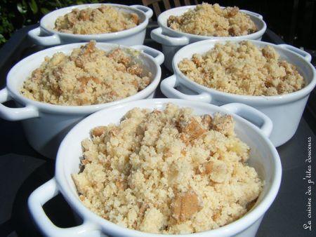 Crumble aux mirabelles et spéculoos DSCF1587