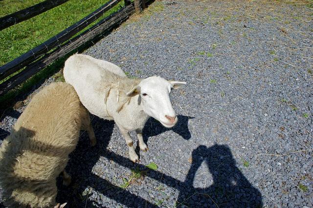 Projet 52 - Semaine 32 DSC06211