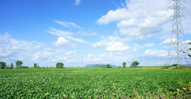 Projet 52 - Semaine 32 DSC06440